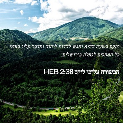 Picture 02 - הבשורה על־פי לוקס 2:38 HEB - ותקם בשעה ההיא ותגש להדות - Bible Verse Picture