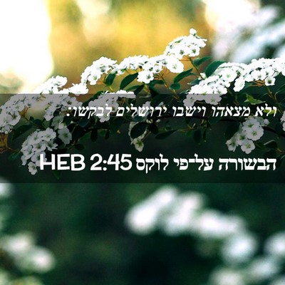 Picture 02 - הבשורה על־פי לוקס 2:45 HEB - ולא מצאהו וישבו ירושלים - Bible Verse Picture