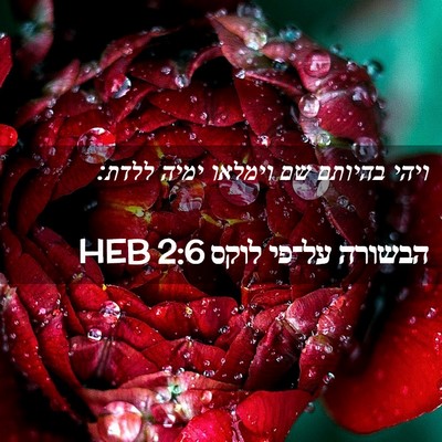 Picture 02 - הבשורה על־פי לוקס 2:6 HEB - ויהי בהיותם שם וימלאו ימיה - Bible Verse Picture