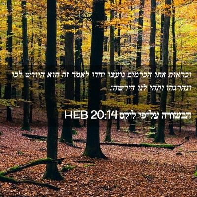 Picture 02 - הבשורה על־פי לוקס 20:14 HEB - וכראות אתו הכרמים נועצו - Bible Verse Picture