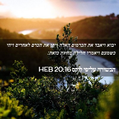 Picture 02 - הבשורה על־פי לוקס 20:16 HEB - יבוא ויאבד את הכרמים האלה - Bible Verse Picture
