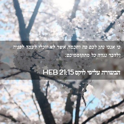 Picture 02 - הבשורה על־פי לוקס 21:15 HEB - כי אנכי נתן לכם פה וחכמה - Bible Verse Picture