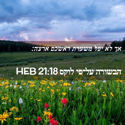 Picture 02 - הבשורה על־פי לוקס 21:18 HEB - אך לא יפל משערת ראשכם - Bible Verse Picture
