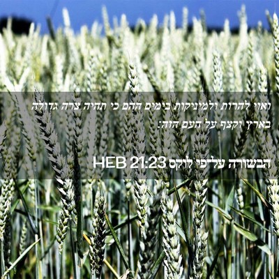 Picture 02 - הבשורה על־פי לוקס 21:23 HEB - ואוי להרות ולמיניקות בימים - Bible Verse Picture