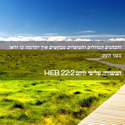 Picture 02 - הבשורה על־פי לוקס 22:2 HEB - והכהנים הגדולים והסופרים - Bible Verse Picture