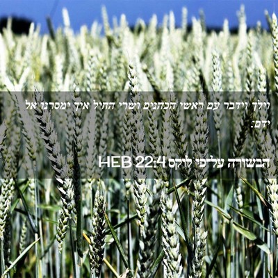 Picture 02 - הבשורה על־פי לוקס 22:4 HEB - וילך וידבר עם ראשי הכהנים - Bible Verse Picture