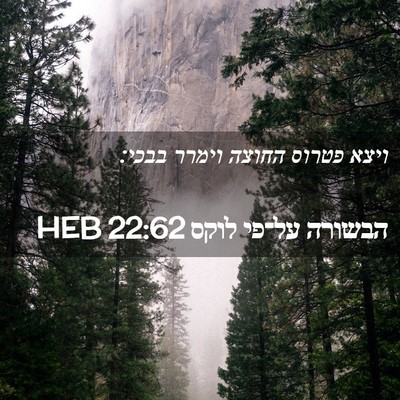 Picture 02 - הבשורה על־פי לוקס 22:62 HEB - ויצא פטרוס החוצה וימרר - Bible Verse Picture