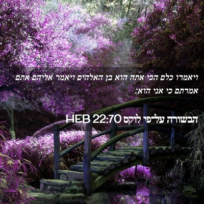 Picture 02 - הבשורה על־פי לוקס 22:70 HEB - ויאמרו כלם הכי אתה הוא בן - Bible Verse Picture
