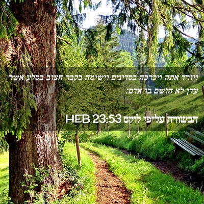 Picture 02 - הבשורה על־פי לוקס 23:53 HEB - ויורד אתה ויכרכה בסדינים - Bible Verse Picture