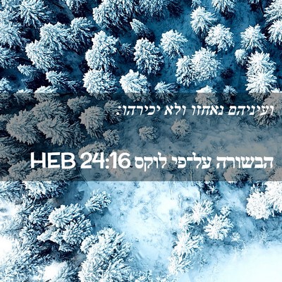 Picture 02 - הבשורה על־פי לוקס 24:16 HEB - ועיניהם נאחזו ולא - Bible Verse Picture
