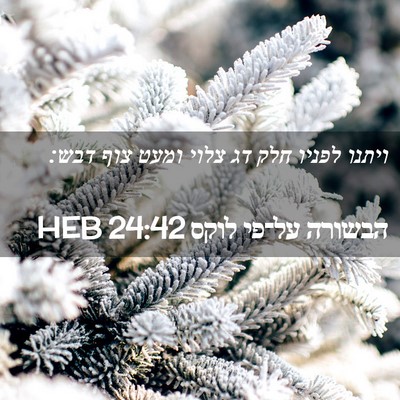 Picture 02 - הבשורה על־פי לוקס 24:42 HEB - ויתנו לפניו חלק דג צלוי - Bible Verse Picture