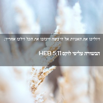 Picture 02 - הבשורה על־פי לוקס 5:11 HEB - ויוליכו את האניות אל היבשה - Bible Verse Picture