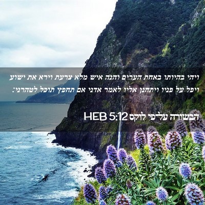 Picture 02 - הבשורה על־פי לוקס 5:12 HEB - ויהי בהיותו באחת הערים - Bible Verse Picture