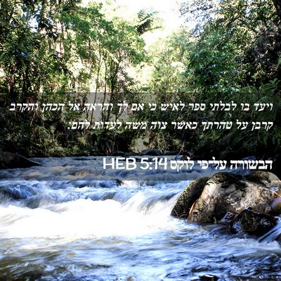 Picture 02 - הבשורה על־פי לוקס 5:14 HEB - ויעד בו לבלתי ספר לאיש כי - Bible Verse Picture