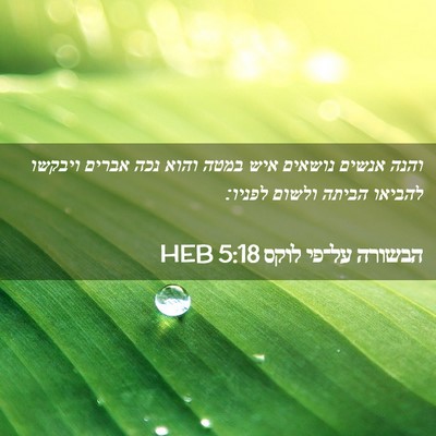 Picture 02 - הבשורה על־פי לוקס 5:18 HEB - והנה אנשים נושאים איש במטה - Bible Verse Picture