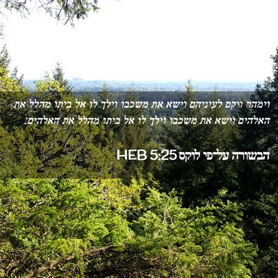 Picture 02 - הבשורה על־פי לוקס 5:25 HEB - וימהר ויקם לעיניהם וישא את - Bible Verse Picture