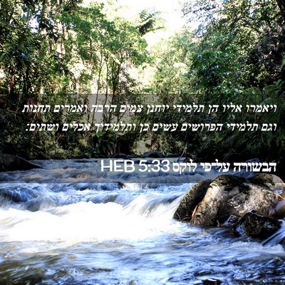 Picture 02 - הבשורה על־פי לוקס 5:33 HEB - ויאמרו אליו הן תלמידי - Bible Verse Picture