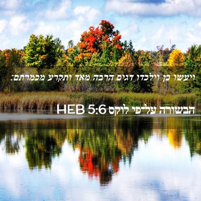 Picture 02 - הבשורה על־פי לוקס 5:6 HEB - ויעשו כן וילכדו דגים הרבה - Bible Verse Picture