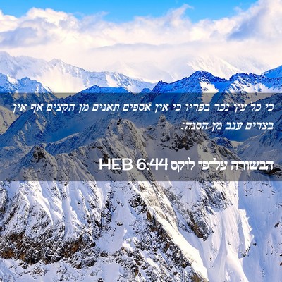 Picture 02 - הבשורה על־פי לוקס 6:44 HEB - כי כל עץ נכר בפריו כי אין - Bible Verse Picture