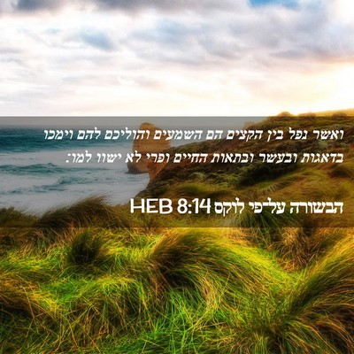 Picture 02 - הבשורה על־פי לוקס 8:14 HEB - ואשר נפל בין הקצים הם - Bible Verse Picture
