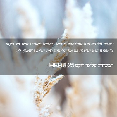 Picture 02 - הבשורה על־פי לוקס 8:25 HEB - ויאמר אליהם איה אמונתכם - Bible Verse Picture