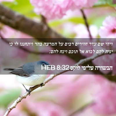 Picture 02 - הבשורה על־פי לוקס 8:32 HEB - ויהי שם עדר חזירים רבים על - Bible Verse Picture