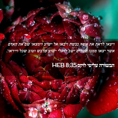 Picture 02 - הבשורה על־פי לוקס 8:35 HEB - ויצאו לראת את אשר נעשה - Bible Verse Picture