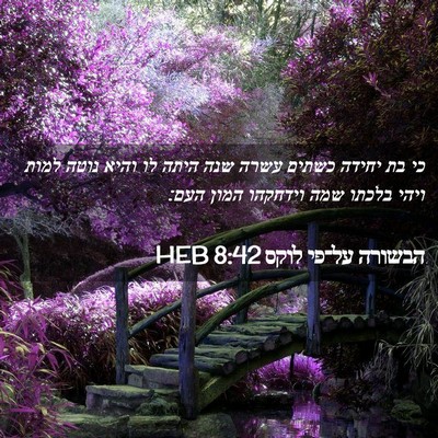 Picture 02 - הבשורה על־פי לוקס 8:42 HEB - כי בת יחידה כשתים עשרה שנה - Bible Verse Picture