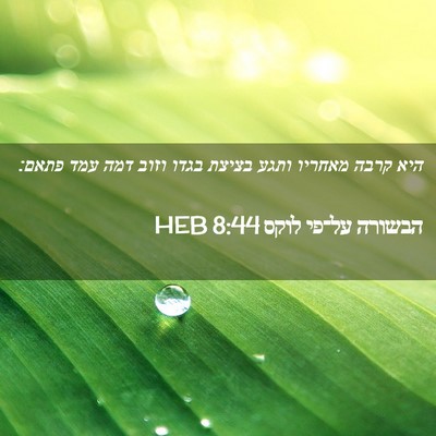 Picture 02 - הבשורה על־פי לוקס 8:44 HEB - היא קרבה מאחריו ותגע בציצת - Bible Verse Picture