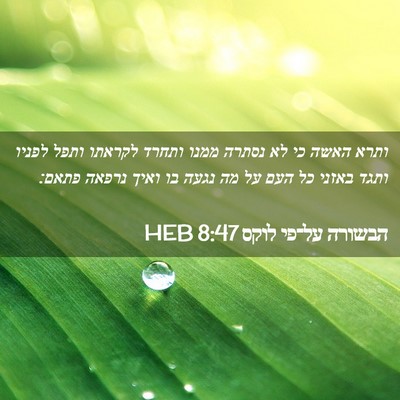 Picture 02 - הבשורה על־פי לוקס 8:47 HEB - ותרא האשה כי לא נסתרה ממנו - Bible Verse Picture