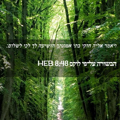 Picture 02 - הבשורה על־פי לוקס 8:48 HEB - ויאמר אליה חזקי בתי אמונתך - Bible Verse Picture