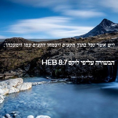 Picture 02 - הבשורה על־פי לוקס 8:7 HEB - ויש אשר נפל בתוך הקצים - Bible Verse Picture