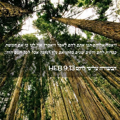 Picture 02 - הבשורה על־פי לוקס 9:13 HEB - ויאמר אליהם תנו אתם להם - Bible Verse Picture