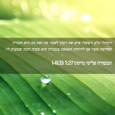 Picture 02 - הבשורה על־פי מרקוס 1:27 HEB - ויבהלו כלם וישאלו איש את - Bible Verse Picture