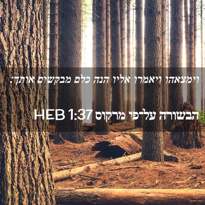 Picture 02 - הבשורה על־פי מרקוס 1:37 HEB - וימצאהו ויאמרו אליו הנה - Bible Verse Picture