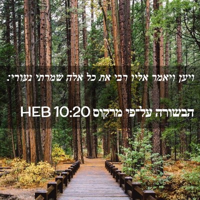 Picture 02 - הבשורה על־פי מרקוס 10:20 HEB - ויען ויאמר אליו רבי את כל - Bible Verse Picture