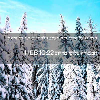 Picture 02 - הבשורה על־פי מרקוס 10:22 HEB - ויצר לו על הדבר הזה ויעצב - Bible Verse Picture