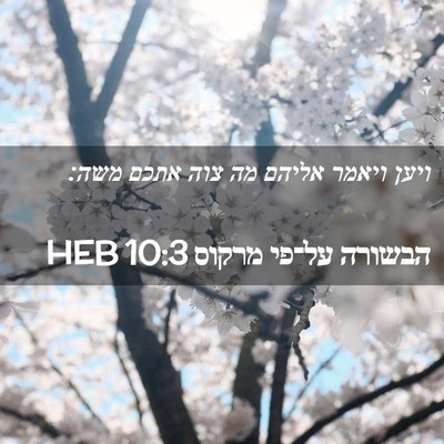 Picture 02 - הבשורה על־פי מרקוס 10:3 HEB - ויען ויאמר אליהם מה צוה - Bible Verse Picture