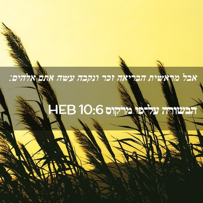 Picture 02 - הבשורה על־פי מרקוס 10:6 HEB - אבל מראשית הבריאה זכר - Bible Verse Picture