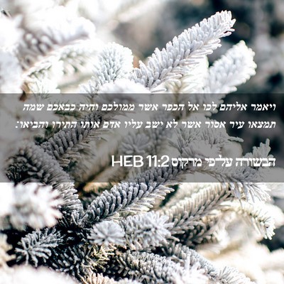 Picture 02 - הבשורה על־פי מרקוס 11:2 HEB - ויאמר אליהם לכו אל הכפר אשר - Bible Verse Picture