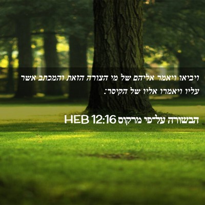 Picture 02 - הבשורה על־פי מרקוס 12:16 HEB - ויביאו ויאמר אליהם של מי - Bible Verse Picture