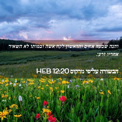 Picture 02 - הבשורה על־פי מרקוס 12:20 HEB - והנה שבעה אחים והראשון לקח - Bible Verse Picture