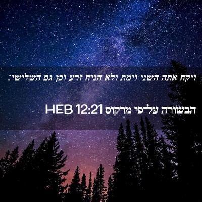 Picture 02 - הבשורה על־פי מרקוס 12:21 HEB - ויקח אתה השני וימת ולא הניח - Bible Verse Picture