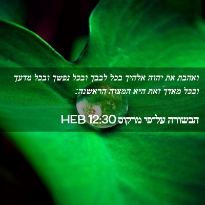 Picture 02 - הבשורה על־פי מרקוס 12:30 HEB - ואהבת את יהוה אלהיך בכל - Bible Verse Picture