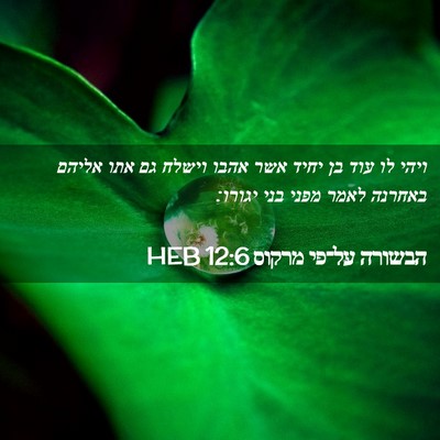 Picture 02 - הבשורה על־פי מרקוס 12:6 HEB - ויהי לו עוד בן יחיד אשר - Bible Verse Picture