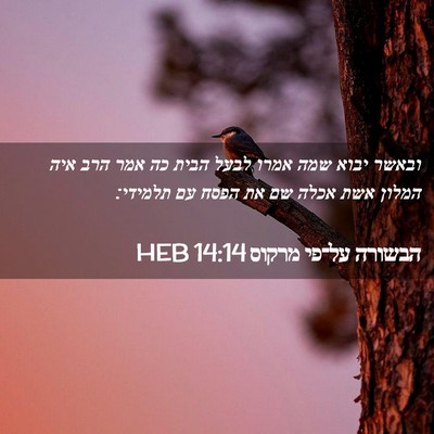 Picture 02 - הבשורה על־פי מרקוס 14:14 HEB - ובאשר יבוא שמה אמרו לבעל - Bible Verse Picture