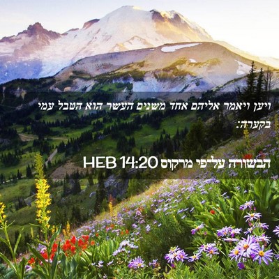 Picture 02 - הבשורה על־פי מרקוס 14:20 HEB - ויען ויאמר אליהם אחד משנים - Bible Verse Picture