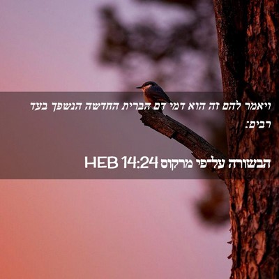 Picture 02 - הבשורה על־פי מרקוס 14:24 HEB - ויאמר להם זה הוא דמי דם - Bible Verse Picture
