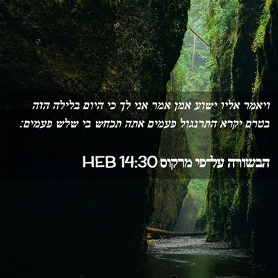 Picture 02 - הבשורה על־פי מרקוס 14:30 HEB - ויאמר אליו ישוע אמן אמר אני - Bible Verse Picture