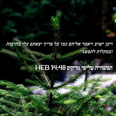 Picture 02 - הבשורה על־פי מרקוס 14:48 HEB - ויען ישוע ויאמר אליהם כמו - Bible Verse Picture